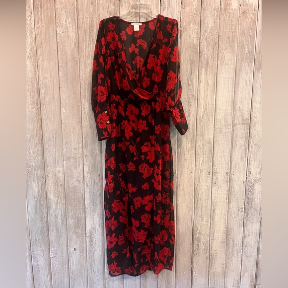 miley+molly Dresses & Skirts - Miley+Molly Red/Black Floral Sheer Dress